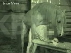 In the barn, Cock Hungry Twink leans down and removes an incomprehensible horse knob from his gazoo.